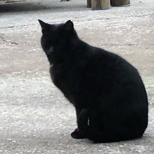 Meet your Posher, Austin